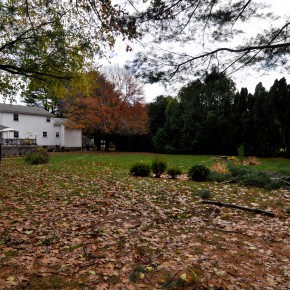 New Lexington Listing New Lexington Listing